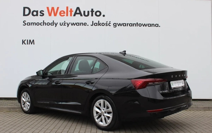 Skoda Octavia cena 94530 przebieg: 45500, rok produkcji 2021 z Suchań małe 56